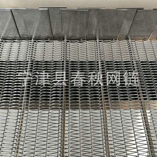 清洗機不銹鋼網(wǎng)鏈